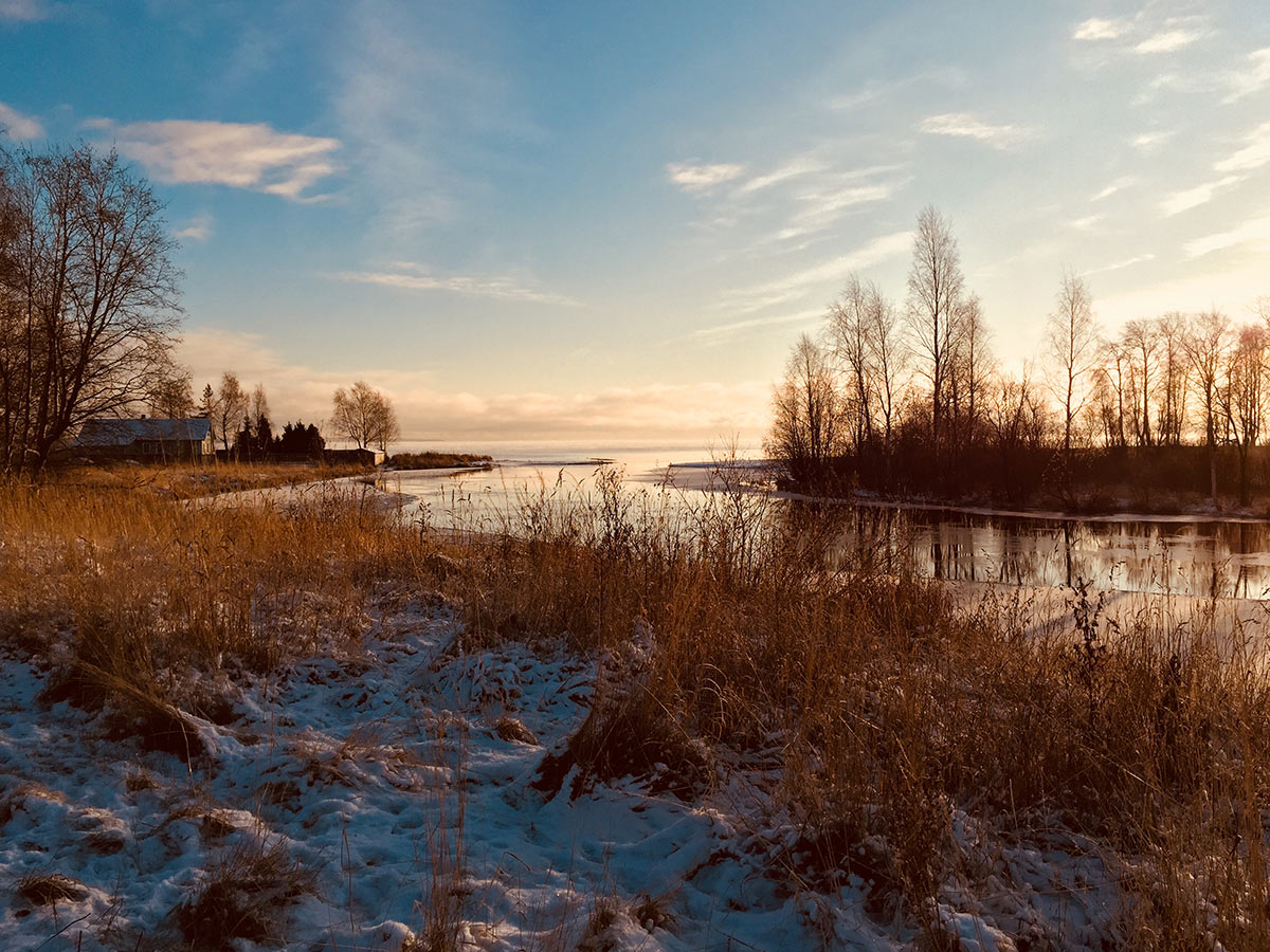 Природа Медвежьегорска